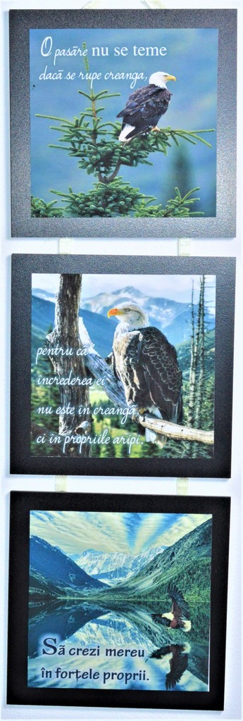 Set 3 mini tablouri - O pasare nu se teme daca se rupe creanga