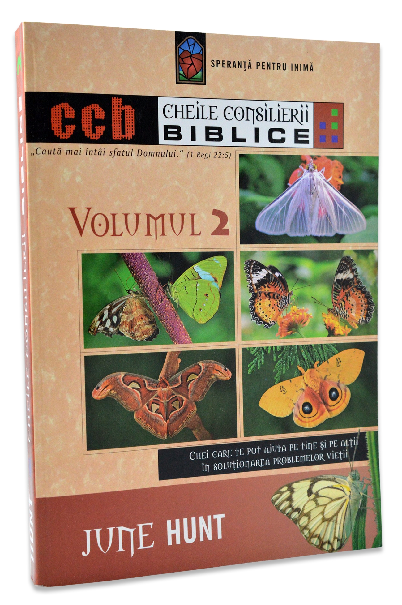 Cheile Consilierii Biblice, vol. 2 Cheile Consilierii Biblice, vol. 2