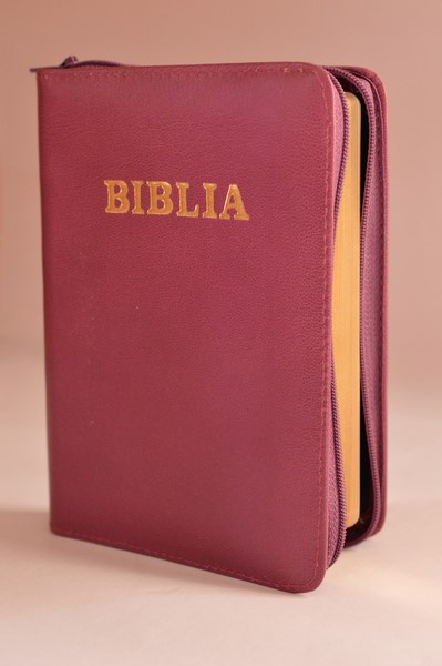 Biblie din piele, dimensiune, mov , fermoar, simbol simpla, cuv. lui Isus in rosu [043 A]