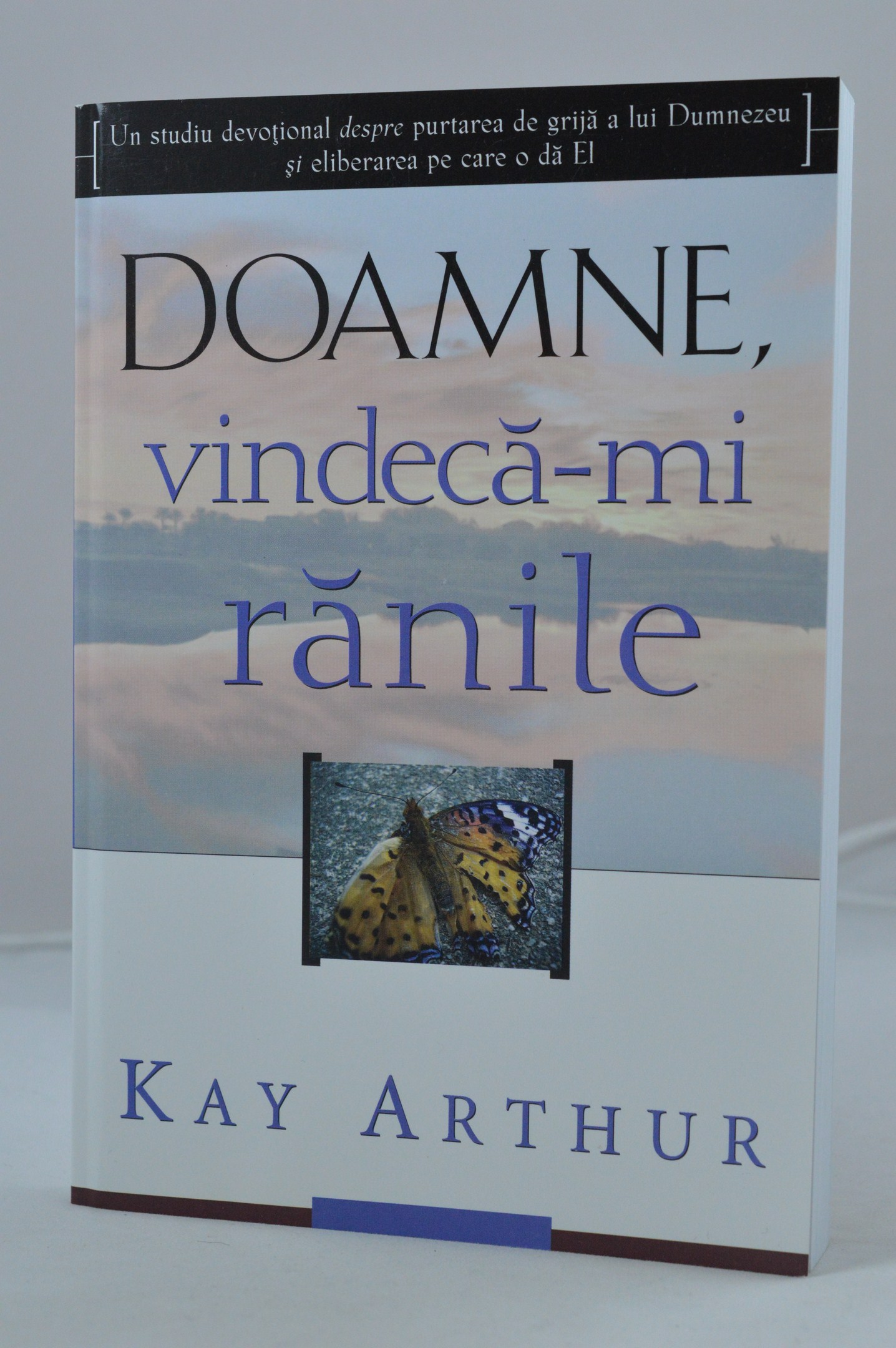 Doamne, vindeca-mi ranile (studiu devotional despre puterea de grija a lui Dumnezeu)