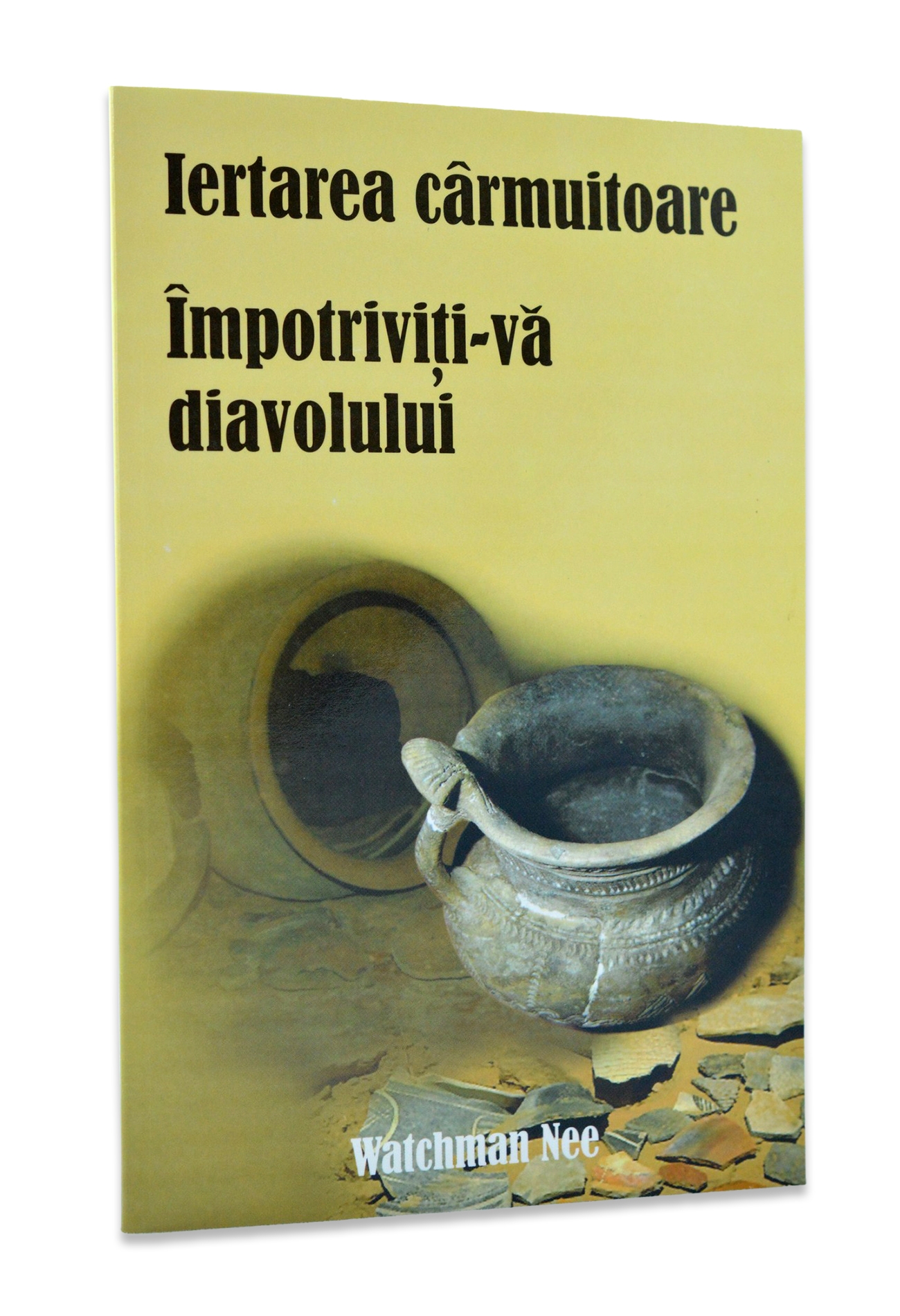 Iertarea cârmuitoare