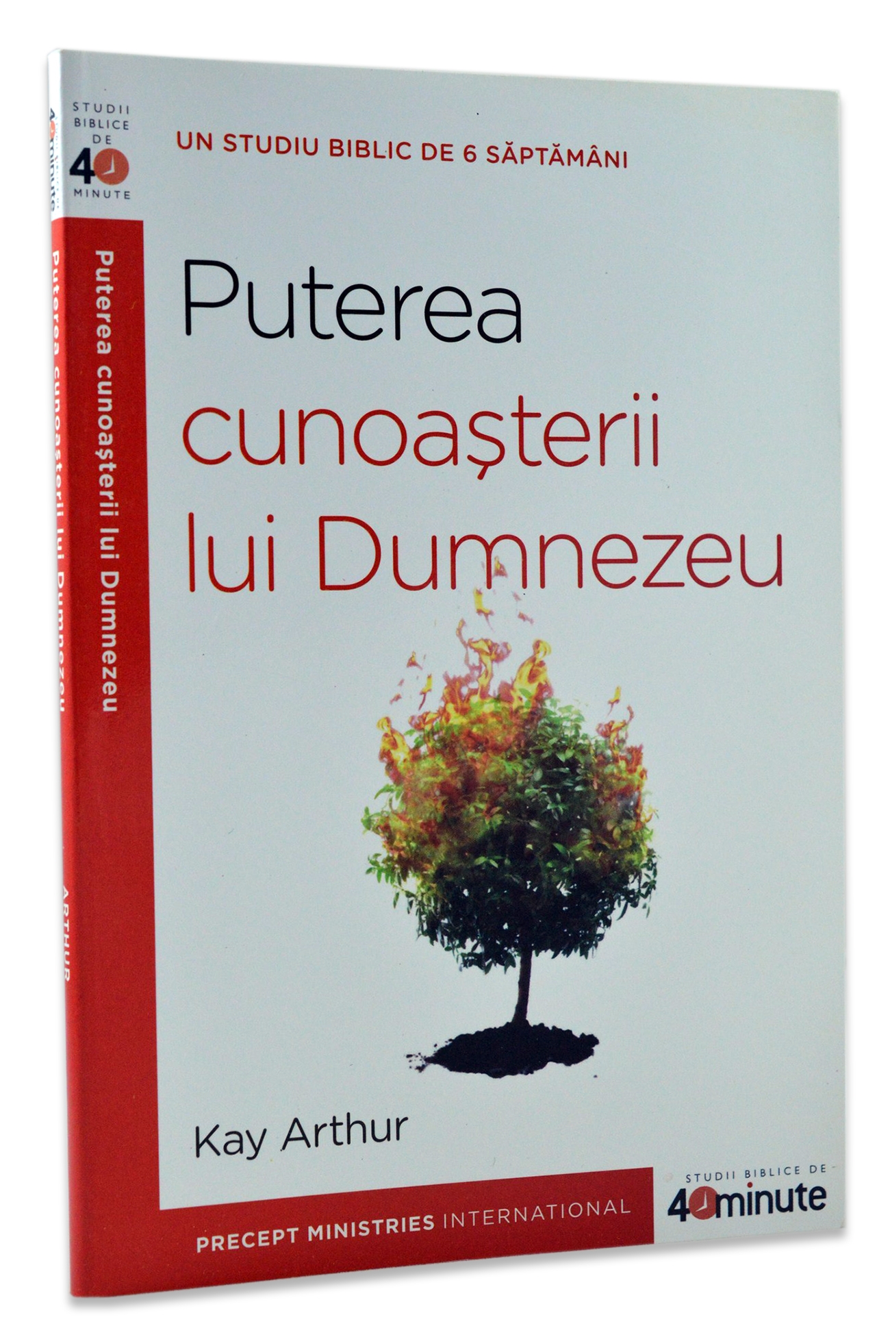 Puterea cunoasterii lui Dumnezeu - studiu Puterea cunoasterii lui Dumnezeu - studiu