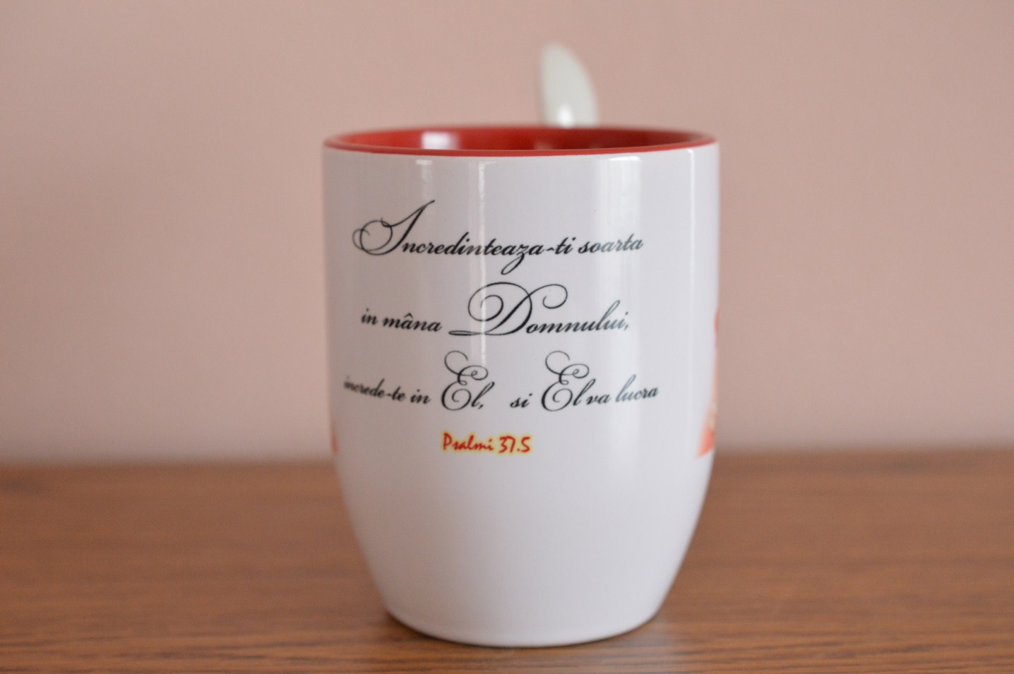 Cana cu lingurita -Incredinteaza-ti soarta Cana cu lingurita -Incredinteaza-ti soarta