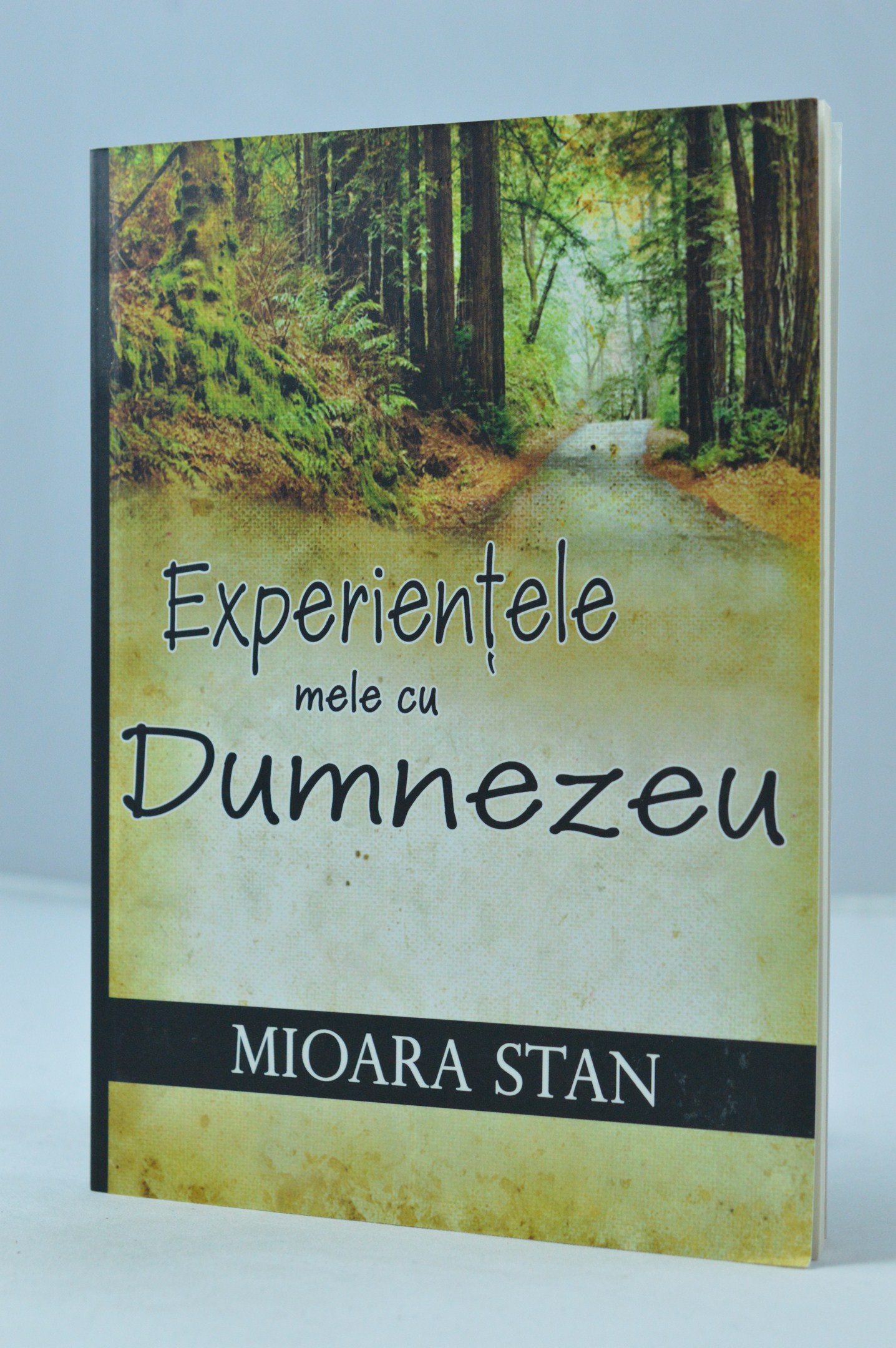 Experientele mele cu Dumnezeu - Marturii crestine