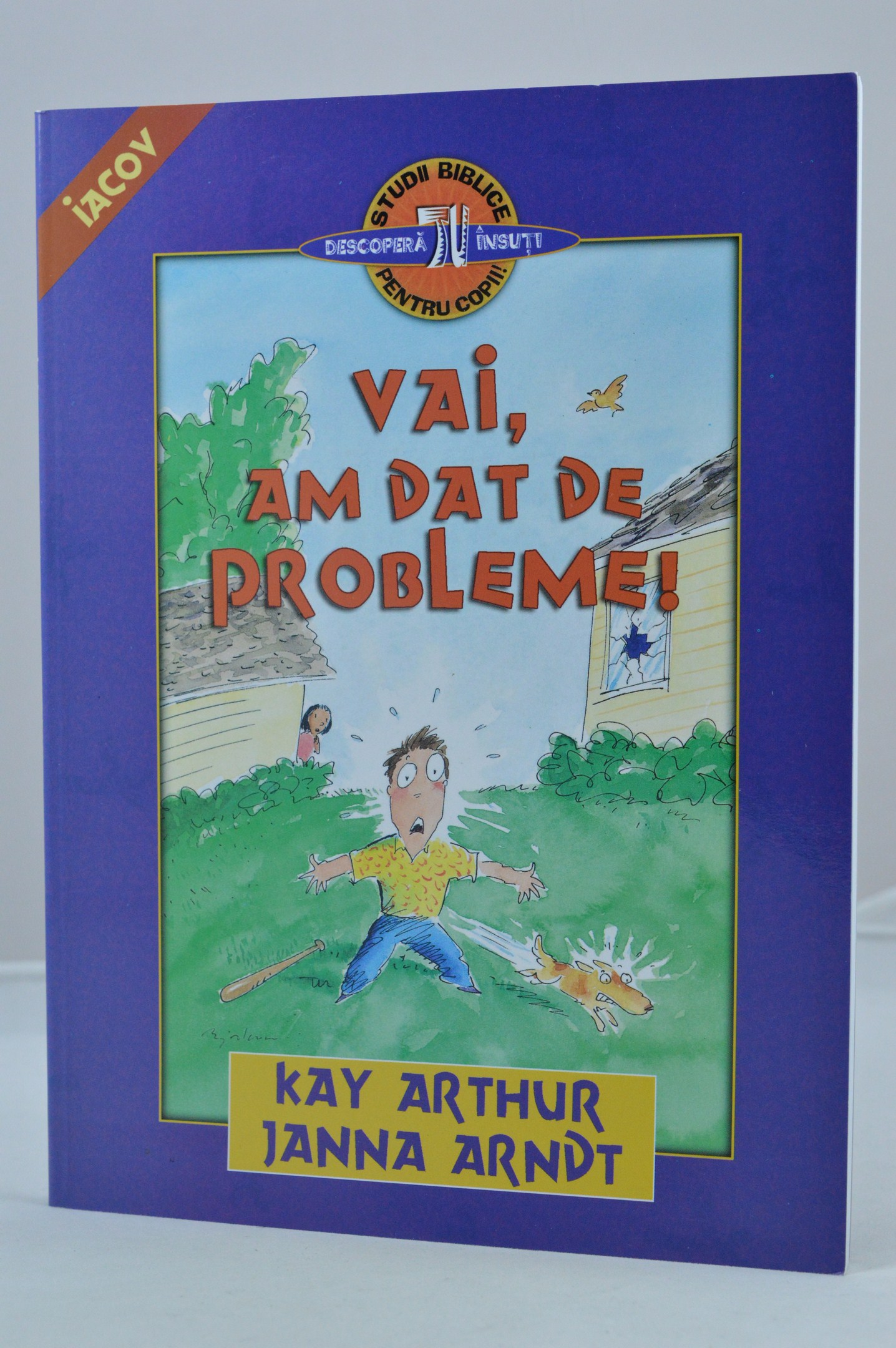 Vai, am dat de probleme! (studiu biblic)