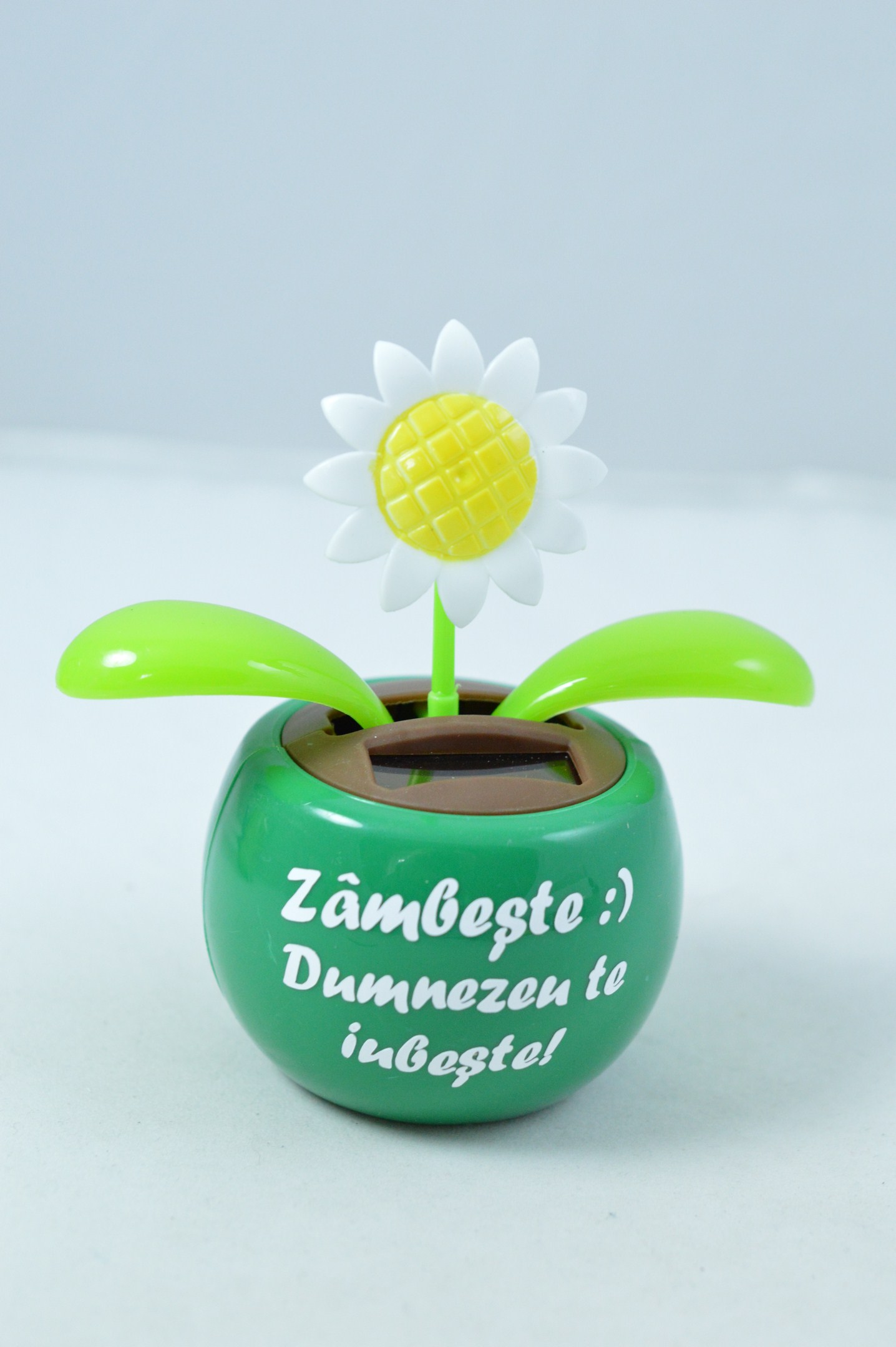 Floare solara - Zambeste :) Dumnezeu te iubeste! Floare solara - Zambeste :) Dumnezeu te iubeste!