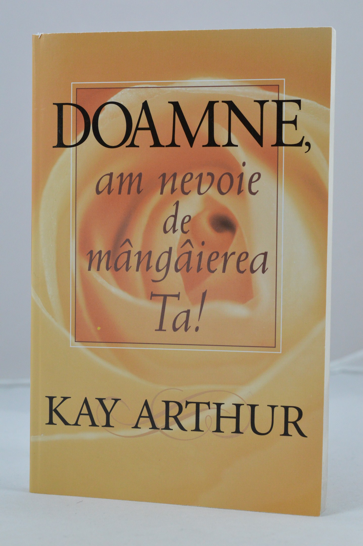 Doamne, am nevoie de mangaierea Ta Doamne, am nevoie de mangaierea Ta