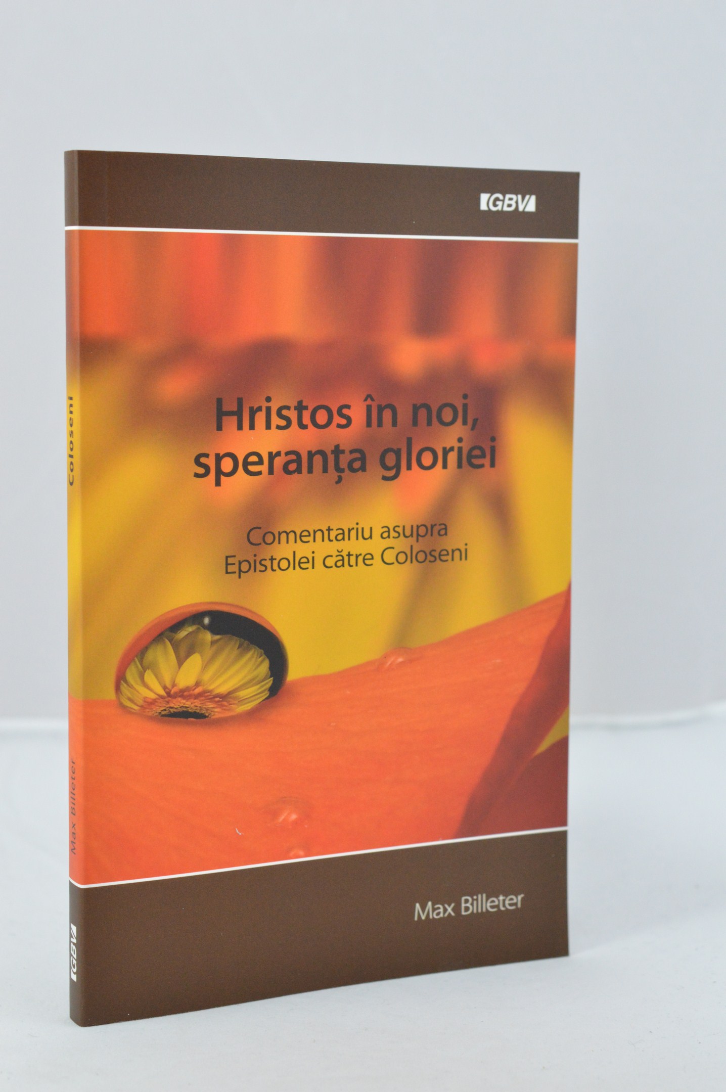 Hristos in noi, speranta gloriei - comentariu asupra epistolei catre Coloseni Hristos in noi, speranta gloriei - comentariu asupra epistolei catre Coloseni