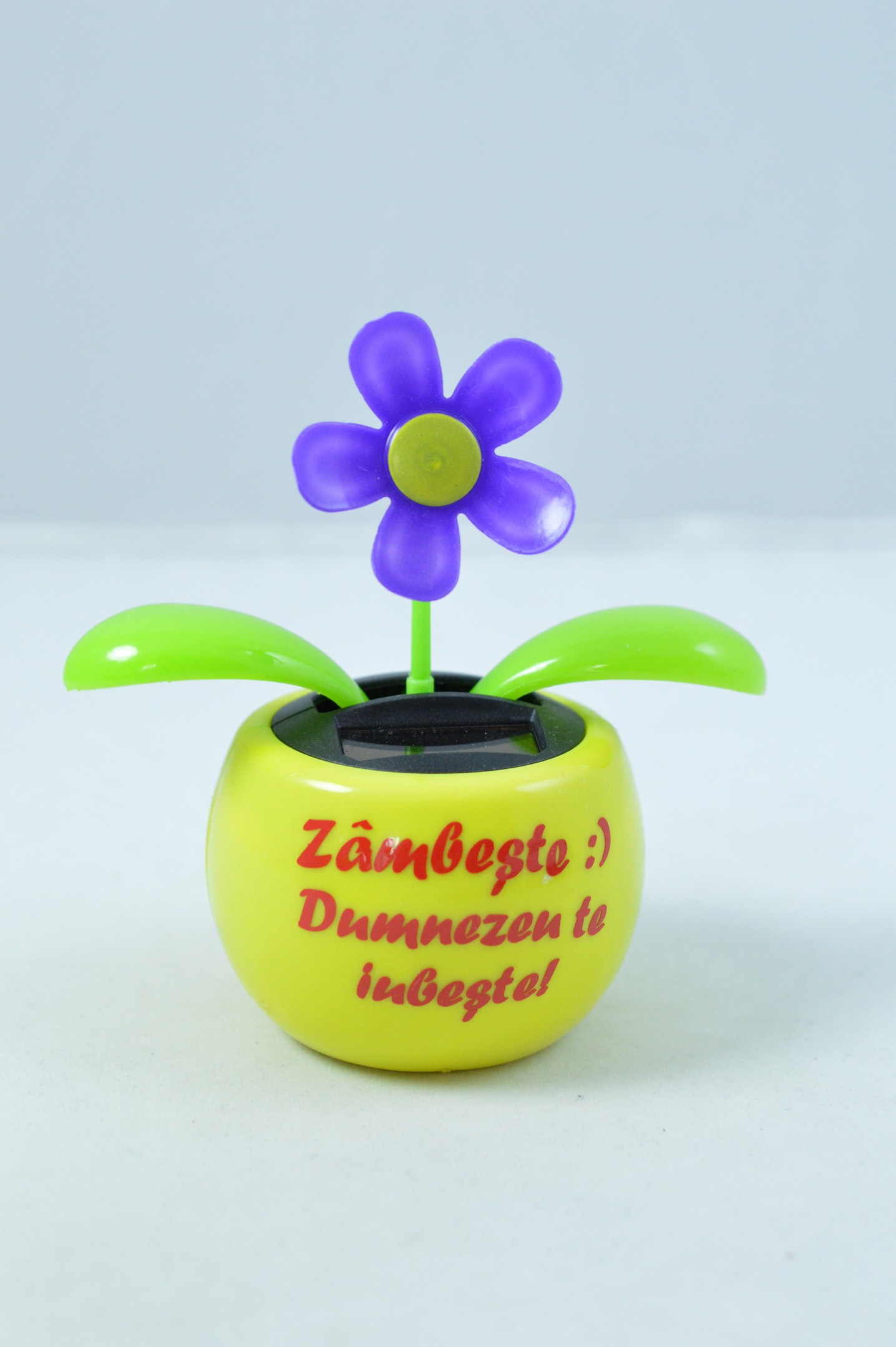 Floare solara - Zambeste :) Dumnezeu te iubeste! Floare solara - Zambeste :) Dumnezeu te iubeste!