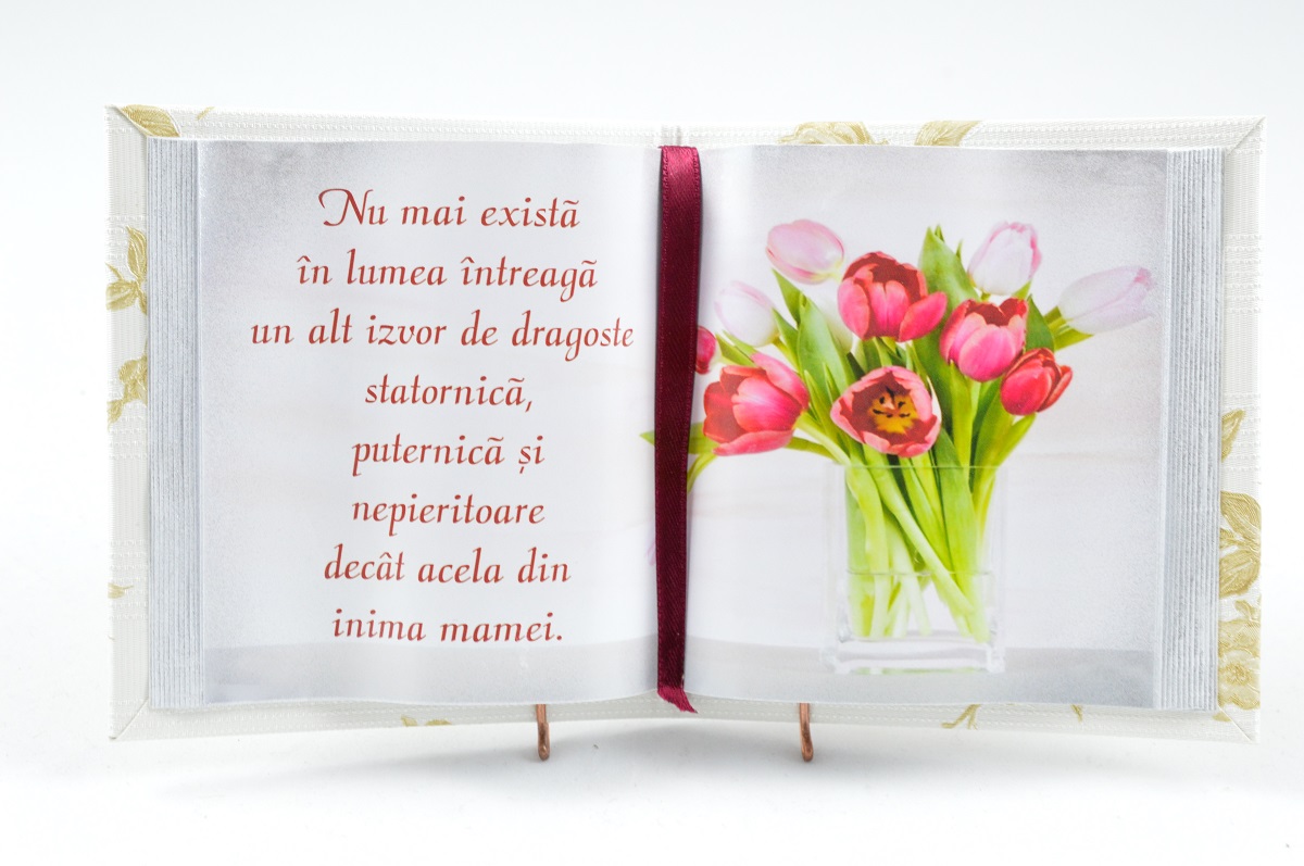 Carte Decor - Nu mai exista in lumea intreaga Carte Decor - Nu mai exista in lumea intreaga