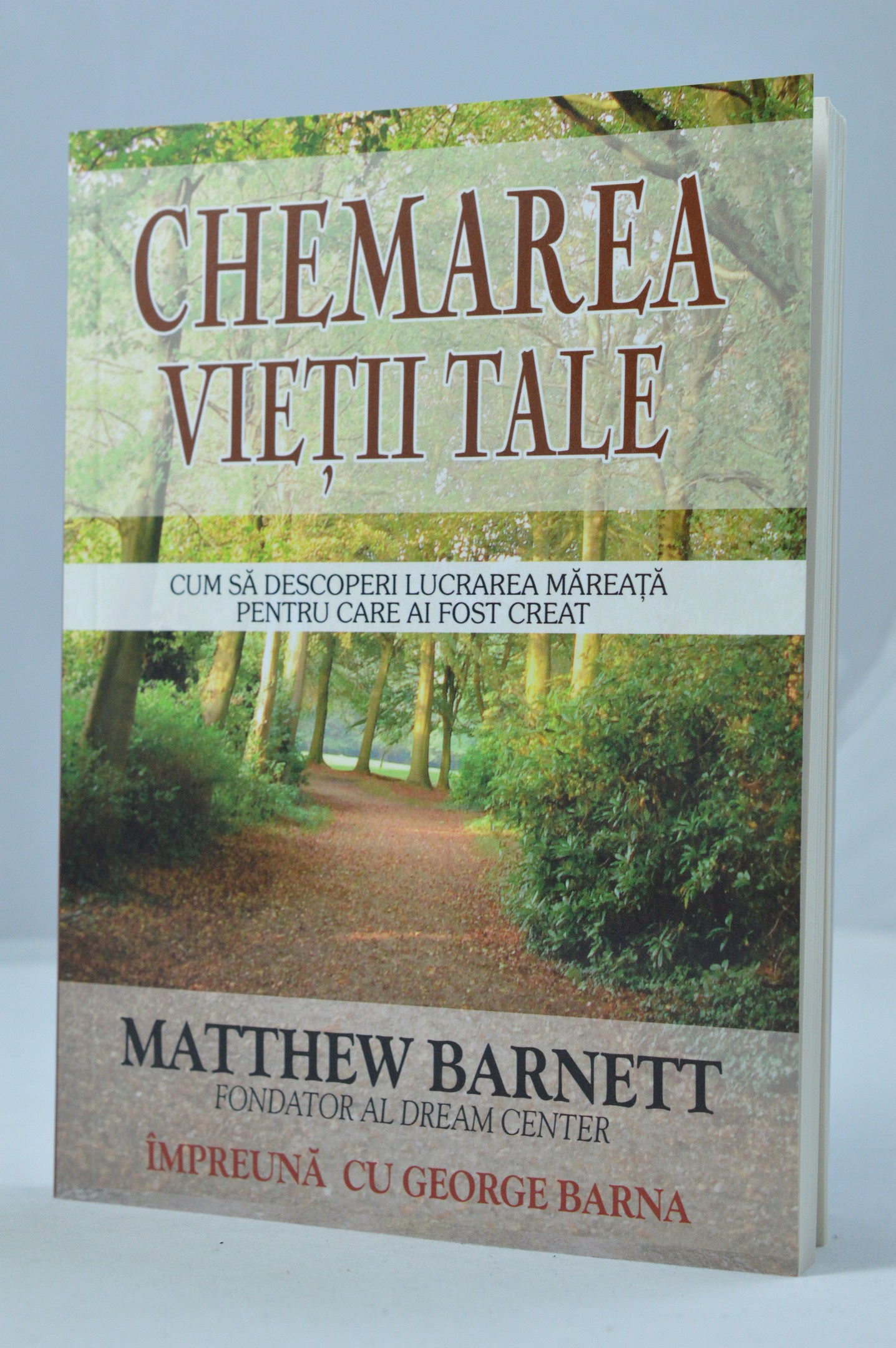 Chemarea vieţii tale Chemarea vieţii tale