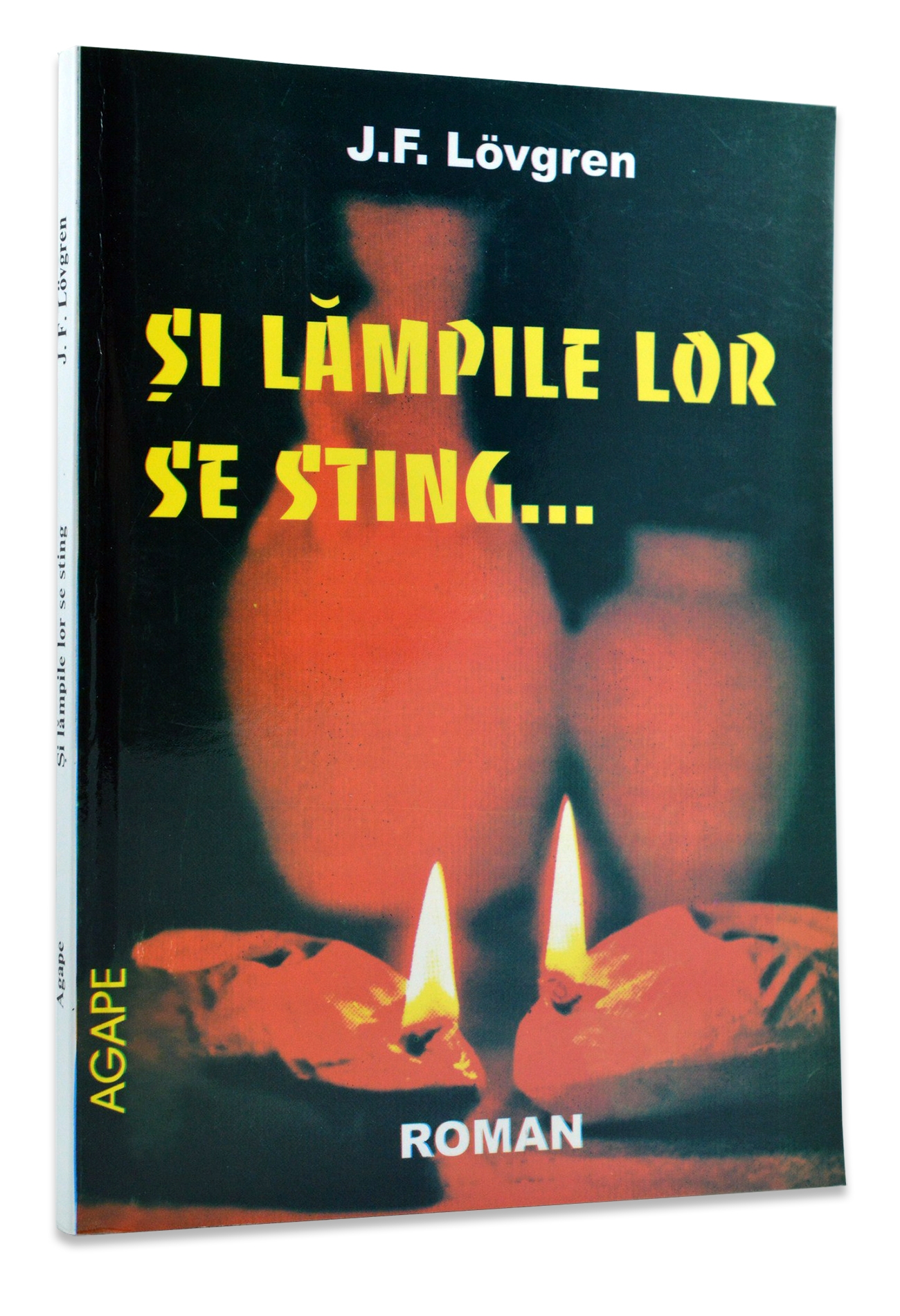 Si lampile lor se sting - roman crestin