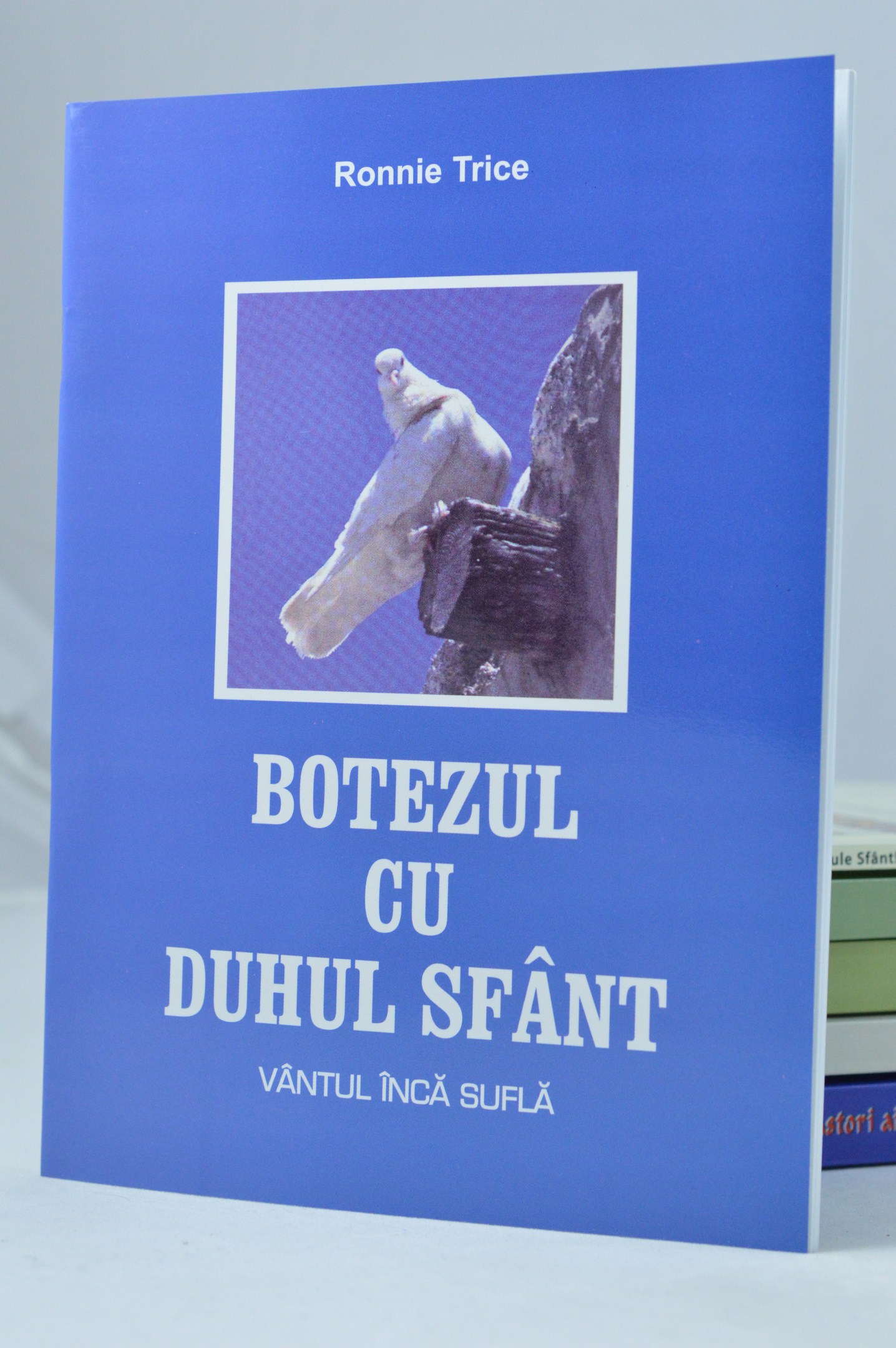 Botezul cu Duhul Sfant Botezul cu Duhul Sfant