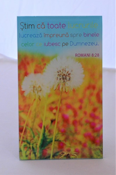 Aplica sticla - Stim ca toate lucrurile Aplica sticla - Stim ca toate lucrurile