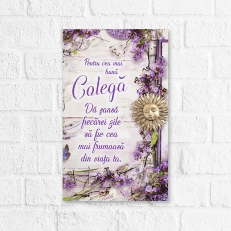 Tablou motivational   (16x26cm) - Colega