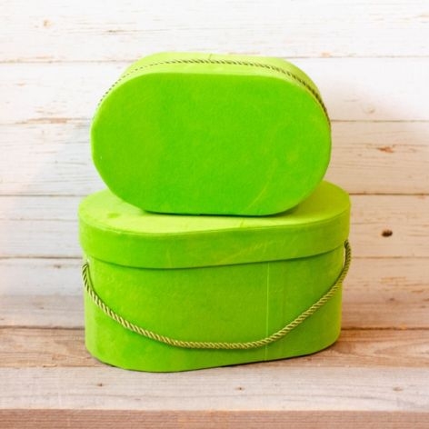 Set cutie -  Set cutie 2 buc/set verde Set cutie -  Set cutie 2 buc/set verde