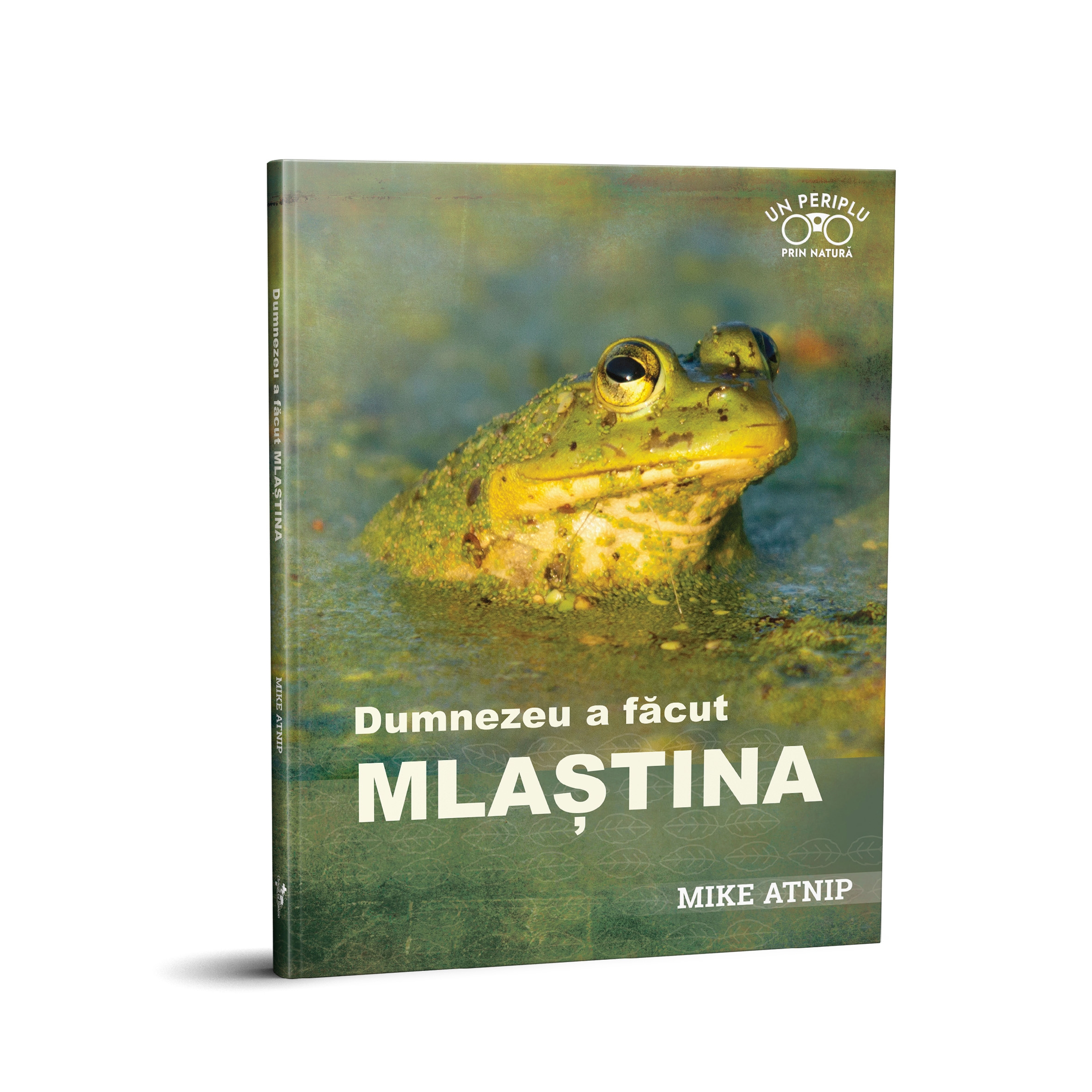 Dumnezeu a făcut mlaștina Dumnezeu a făcut mlaștina