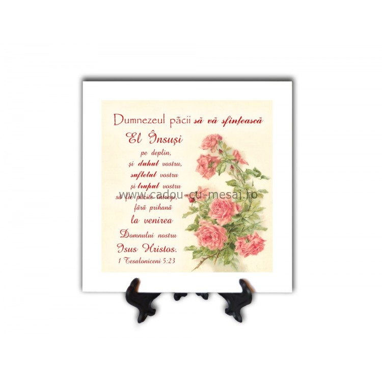 Tablou vintage - Dumnezeul pacii (20x20 cm) Tablou vintage - Dumnezeul pacii (20x20 cm)