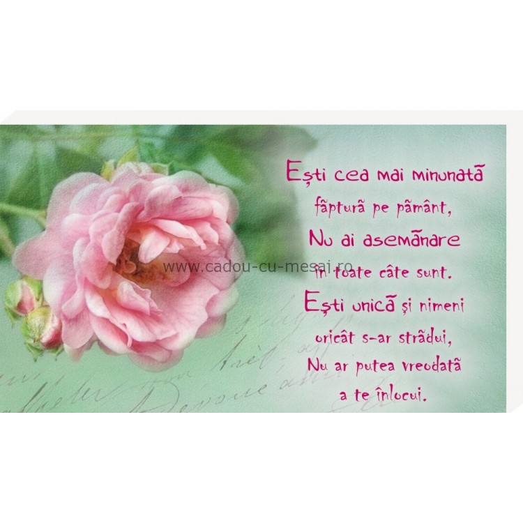 Ești cea mai minunată- Placheta birou Ești cea mai minunată- Placheta birou