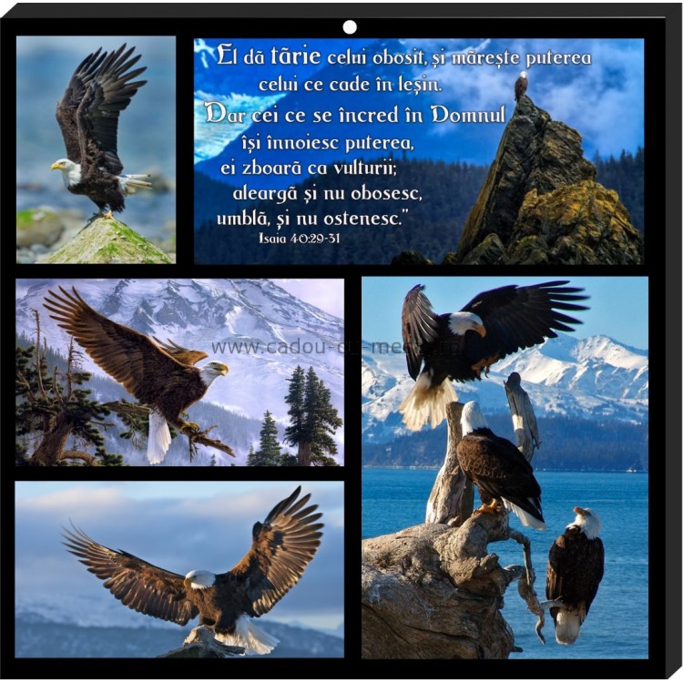 Tablou colaj vintage -El da tarie celui obosit(30x30 cm) Tablou colaj vintage -El da tarie celui obosit(30x30 cm)