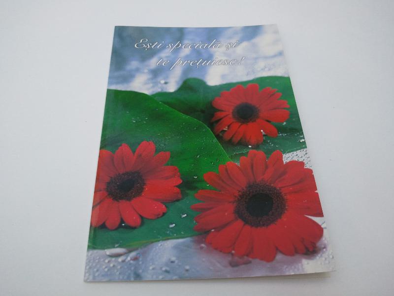Felicitare – esti speciala si te pretuiesc Felicitare – esti speciala si te pretuiesc