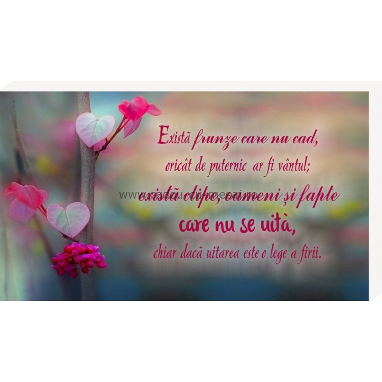 Există oameni care nu se uită 1- Placheta birou Există oameni care nu se uită 1- Placheta birou