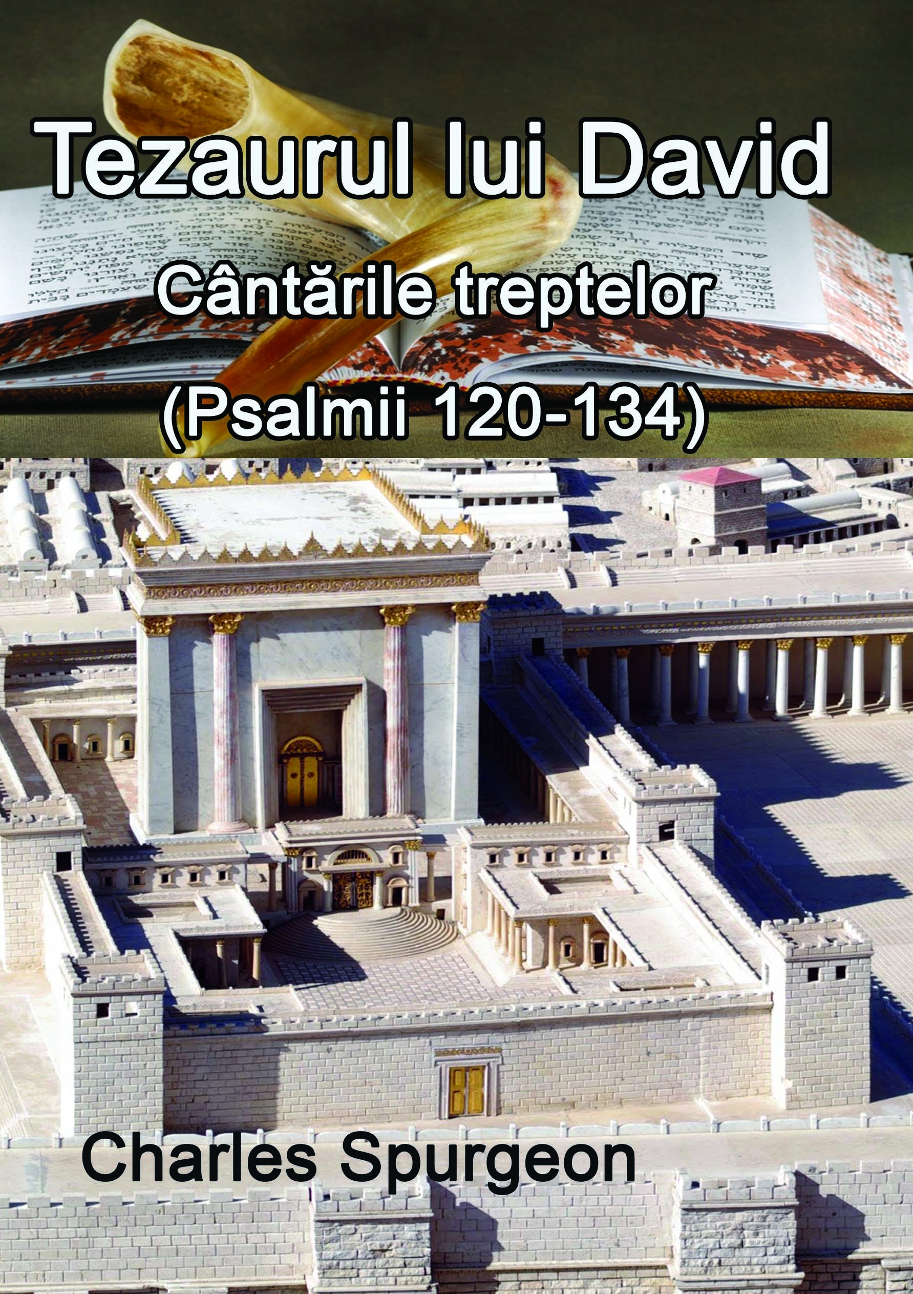 Tezaurul lui David - Cantarile treptelor Tezaurul lui David - Cantarile treptelor