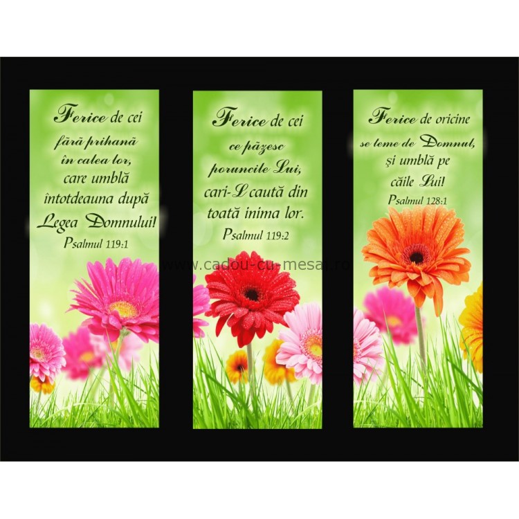 Placheta catifea - Ferice de cei fără prihană Placheta catifea - Ferice de cei fără prihană