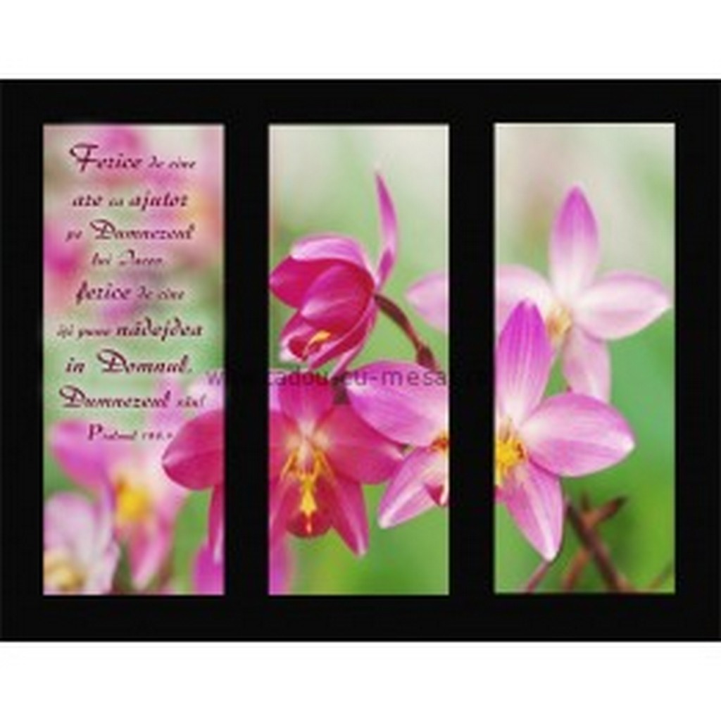 Placheta catifea - Ferice de cine are ca ajutor pe Domnul Placheta catifea - Ferice de cine are ca ajutor pe Domnul