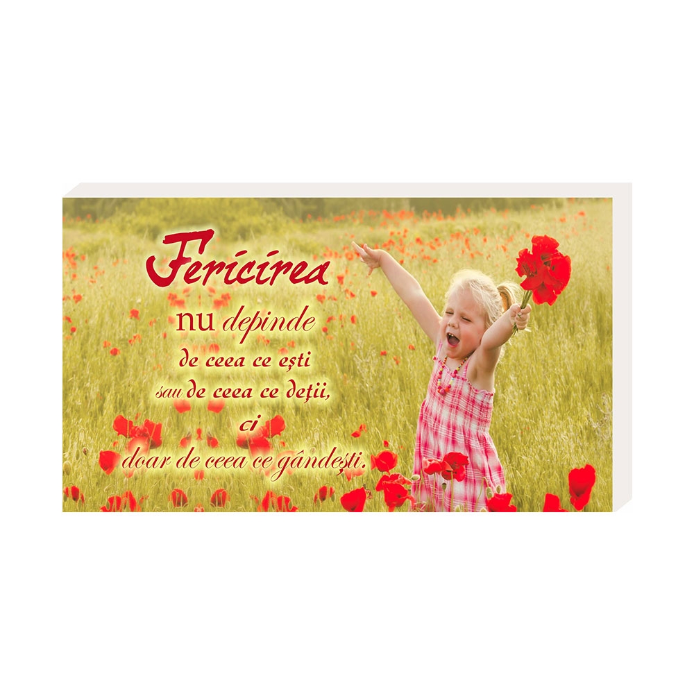 Placheta birou - Fericirea nu depinde.. Placheta birou - Fericirea nu depinde..