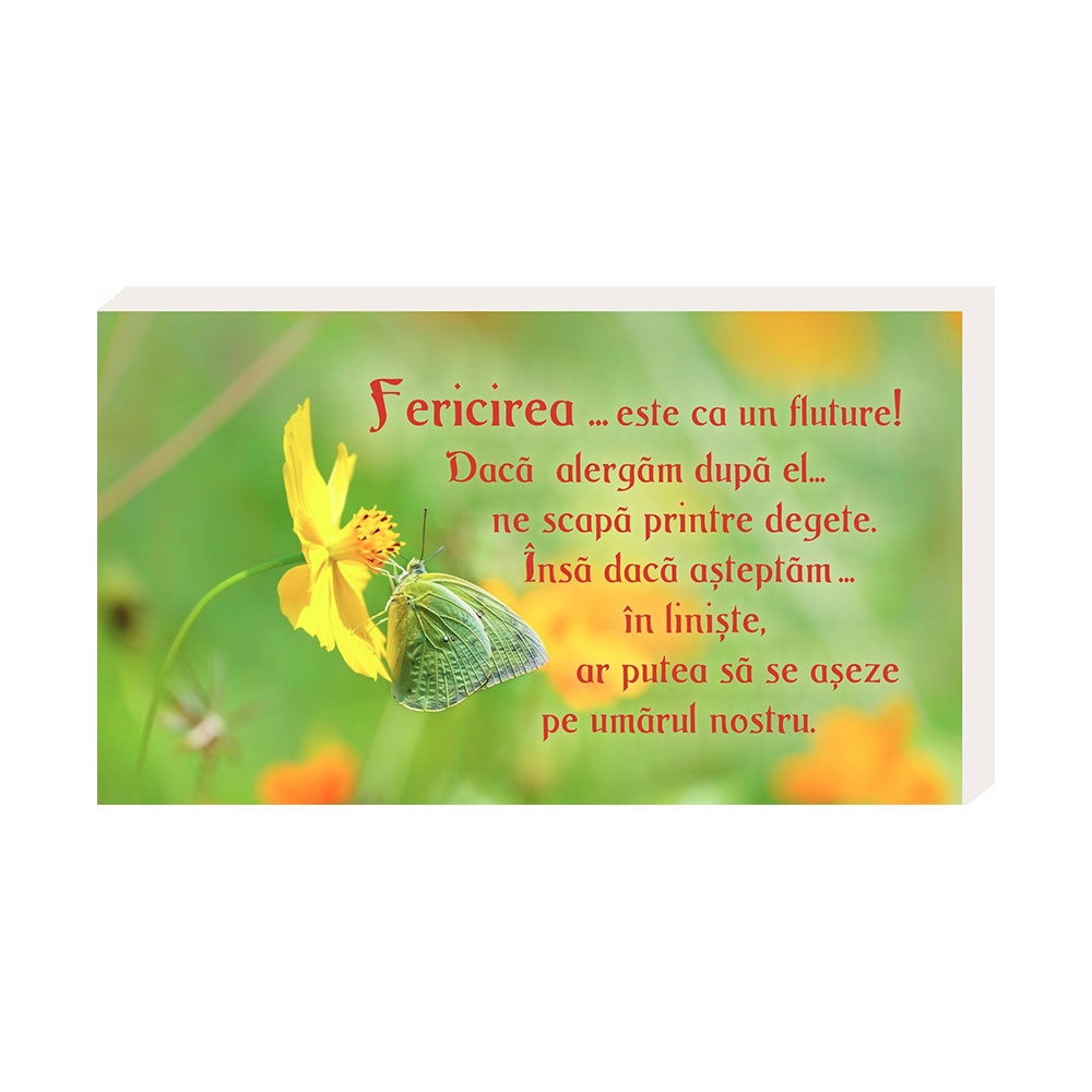 Placheta birou - Fericirea..este ca un fluture Placheta birou - Fericirea..este ca un fluture