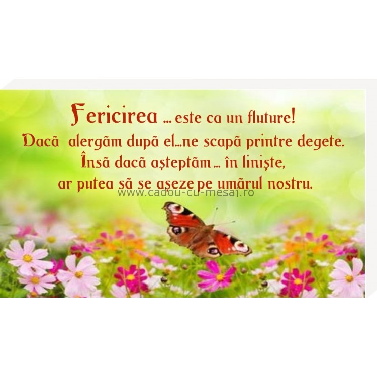 Fericirea este ca un fluture- Placheta birou Fericirea este ca un fluture- Placheta birou