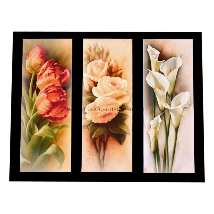 Placheta catifea - Flori Placheta catifea - Flori