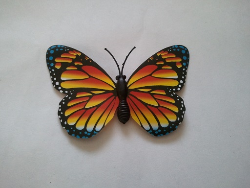 Fluturi decorativi 3D cu magnet(12) Fluturi decorativi 3D cu magnet(12)