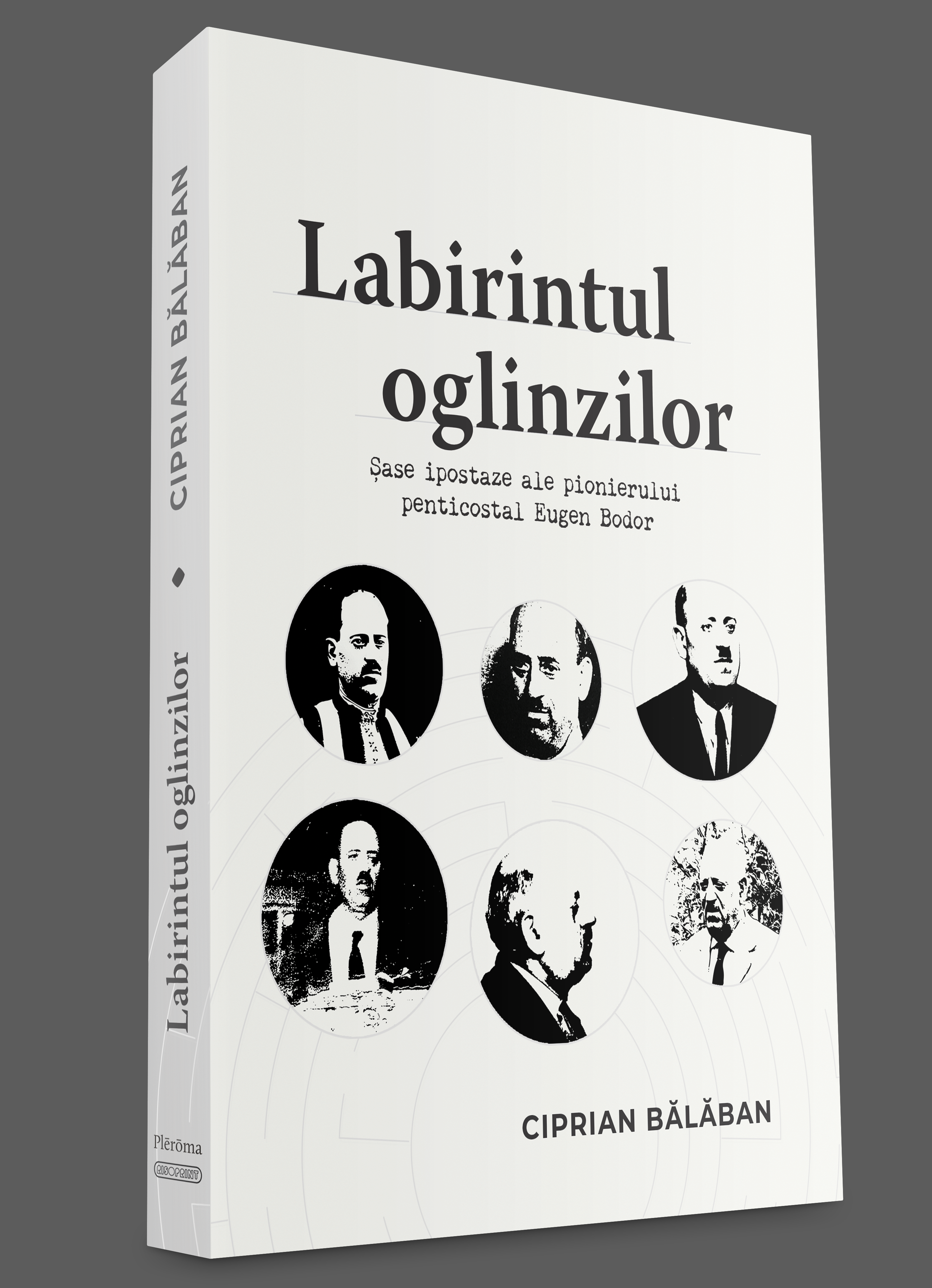 Labirintul oglinzilor Labirintul oglinzilor