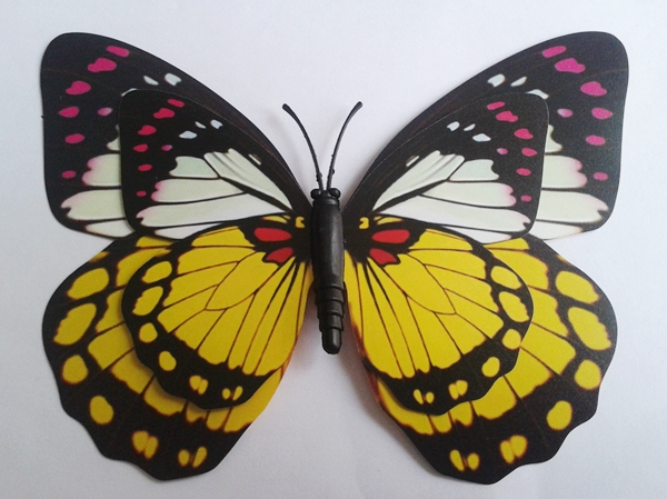 Fluturi decorativi 3D cu magnet(25) Fluturi decorativi 3D cu magnet(25)