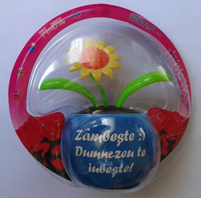 Floare solara floarea sorelui - Zambeste :) Dumnezeu te iubeste! Floare solara floarea sorelui - Zambeste :) Dumnezeu te iubeste!