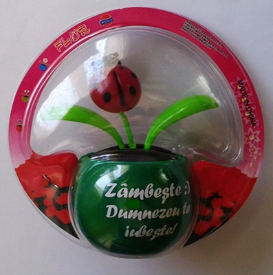 Floare solara buburuza - Zambeste :) Dumnezeu te iubeste! Floare solara buburuza - Zambeste :) Dumnezeu te iubeste!