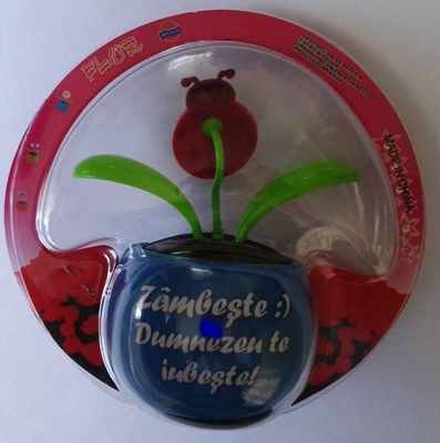 Floare solara buburuza - Zambeste :) Dumnezeu te iubeste! Floare solara buburuza - Zambeste :) Dumnezeu te iubeste!