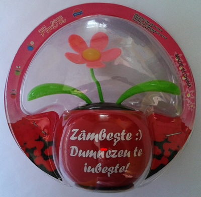 Floare solara - Zambeste :) Dumnezeu te iubeste!