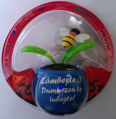 Floare solara albina - Zambeste :) Dumnezeu te iubeste! Floare solara albina - Zambeste :) Dumnezeu te iubeste!