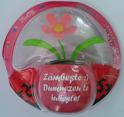 Floare solara - Zambeste :) Dumnezeu te iubeste!