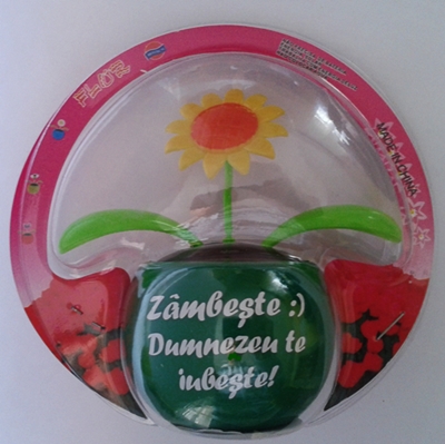 Floare solara floarea sorelui - Zambeste :) Dumnezeu te iubeste! Floare solara floarea sorelui - Zambeste :) Dumnezeu te iubeste!