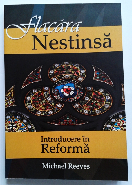 Flacara nestinsa - Introducere in reforma Flacara nestinsa - Introducere in reforma