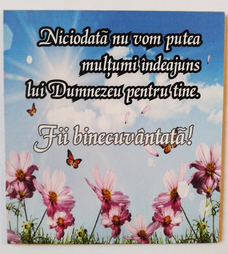 Ornament cu magnet - Niciodata nu vom putea Ornament cu magnet - Niciodata nu vom putea