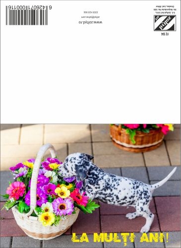 Felicitare  - La multi ani  ( 16.5 cm x 11.5 cm  ) Felicitare  - La multi ani  ( 16.5 cm x 11.5 cm  )