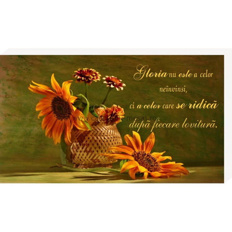 Gloria nu este a celor neînvinși- Placheta birou Gloria nu este a celor neînvinși- Placheta birou