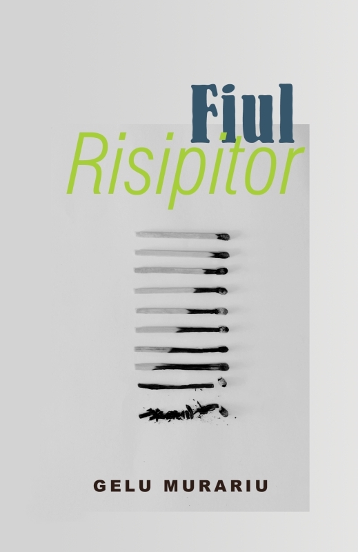 Fiul Risipitor - Eseuri
