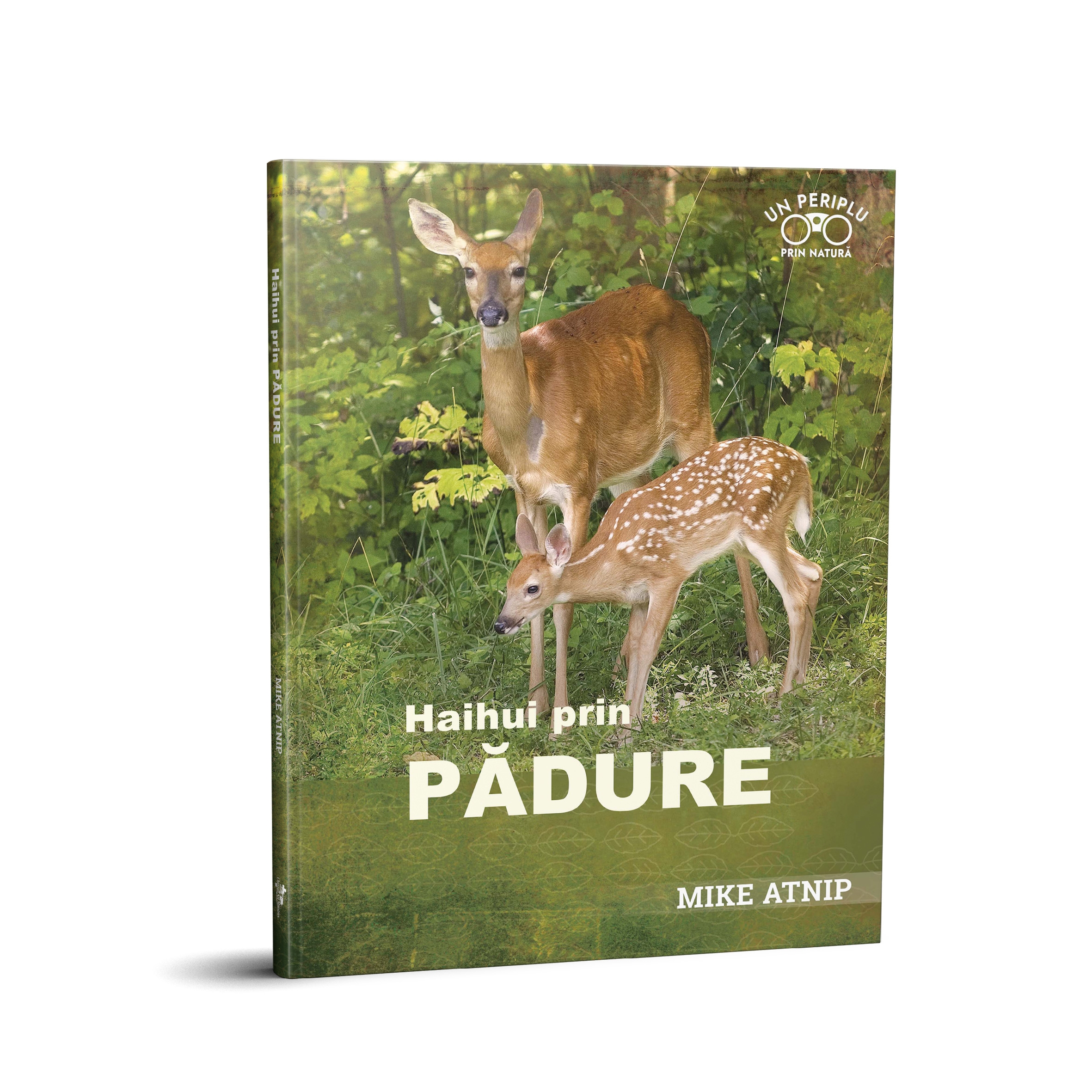 Haihui prin pădure Haihui prin pădure