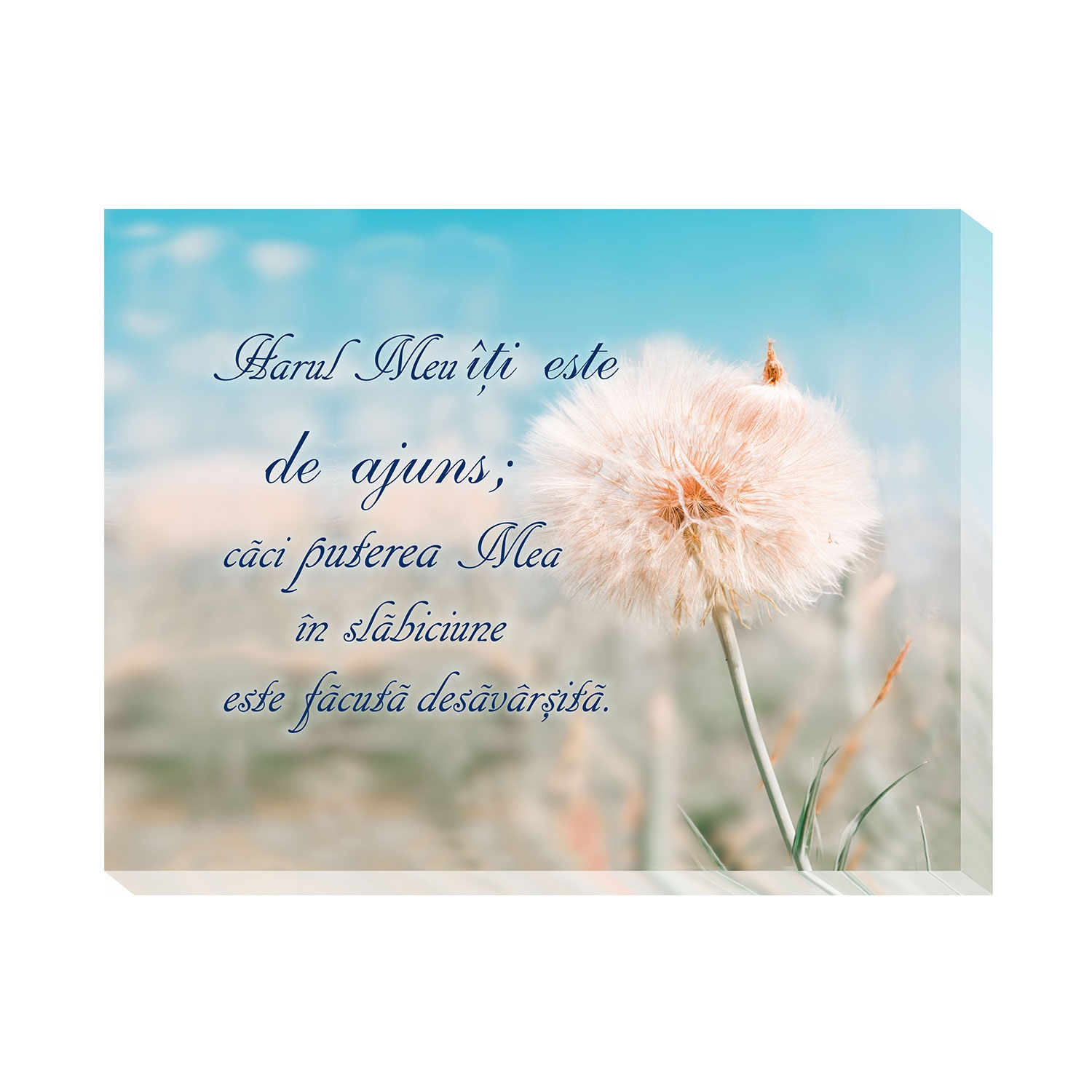 Tablou canvas (25x30cm) - Harul Meu iti este de ajuns Tablou canvas (25x30cm) - Harul Meu iti este de ajuns